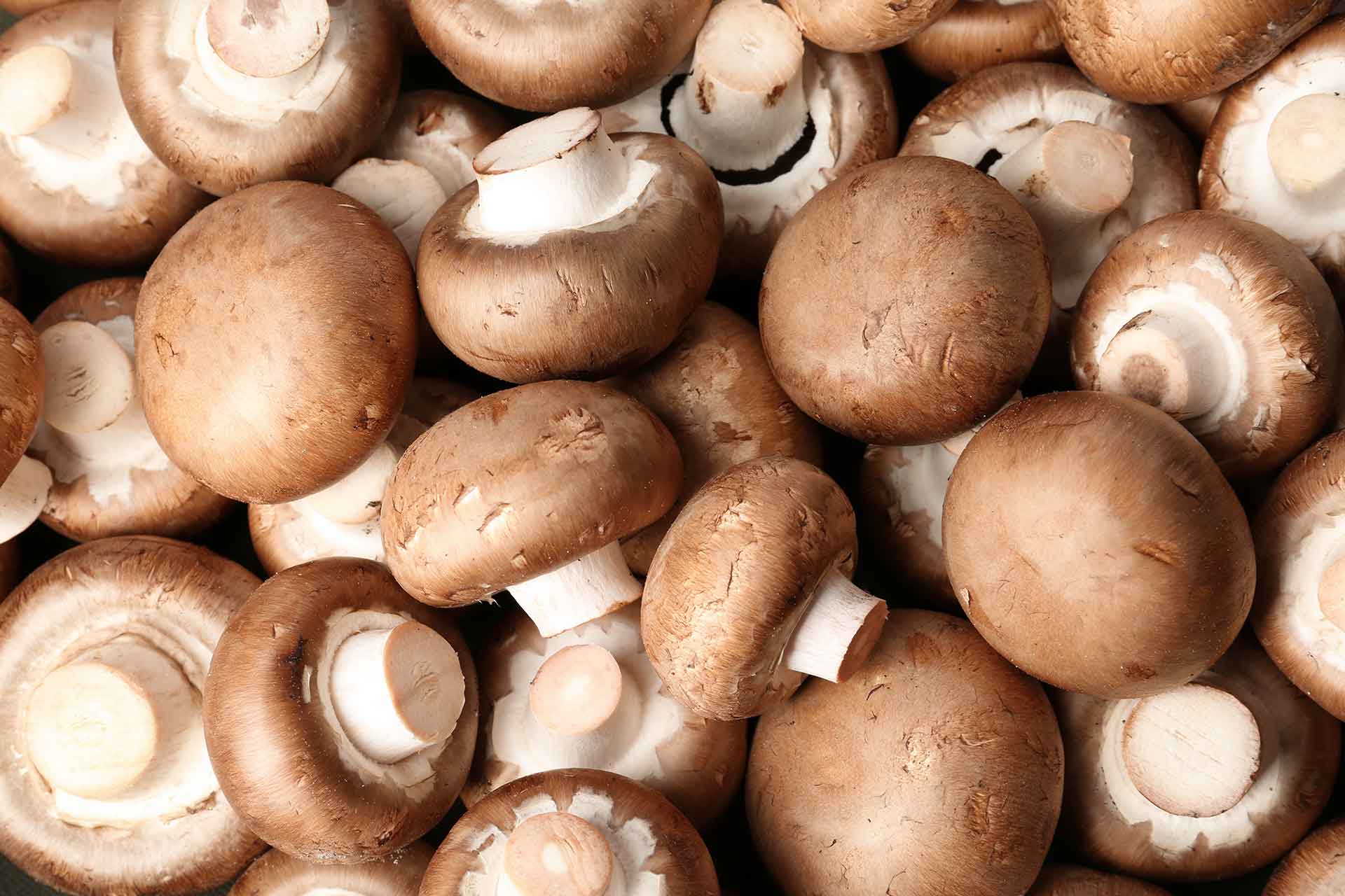 mushrooms